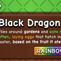 Rainbow Black Dragon || Trusted Seller || Cheaper