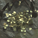DIABLO IV ✨CHEAPEST PRICE 1 MILLION GOLD 1-100M GOLD✨PC PS4 PS5