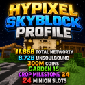 ⚡SKYBLOCK PROFILE ⚡ 8.7 BILLION UNSOULBOUND ⚡11.7 BILLION TOTAL ⚡300M PURE COINS