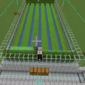 automatic sugarcane farm