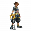 Sora [PC/PS/XBOX/SWITCH] | CHECK DESCRIPTION! FAST DELIVERY!