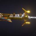 ⭐[MODDED] L40 WAILING BANSHEE - 30.443 DMG (+FIRE DMG) - 570% MELEE DMG - 530 STATUS CHANCE⭐