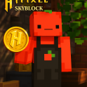 Hypixel Skyblock Coin Offer