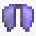 Elytra ✨ DonutSMP - Fast Delivery [CNLTeam]