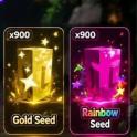 Rainbow Seed | Quick Delivery | Trusted Seller | Real Stock