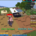 9.79B Pure Coins | 19 Minion Slots