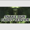 10x Snake Raids stage 5 carry service