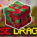 Hypixel Skyblock LEVEL 200 LEGENDARY ROSE DRAGON PET