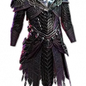 Cospri's Will Assassin Garb - Fast Delivery