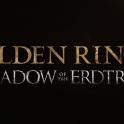 【Pc/Steam】All items in the game/DLC (1612 items) Weapons/Shields and etc(Shadow of the Erdtree）