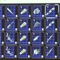 Rascal Blueprint