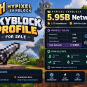 ✅5.95B NETWORTH SKYBLOCK PROFILE ✅ 2.7B UNSOULBOUND ⚡ 78 MAXED COLLECTIONS ⚡ GARDEN 28 ⚡