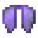 x1 ELYTRA
