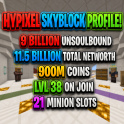 ⚡15% OFF!⚡SKYBLOCK PROFILE ⚡ 9 BILLION UNSOULBOUND ⚡11.5 BILLION TOTAL ⚡930M PURE COINS