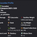 MVP+ / 4.5B NW / 35 CATA / 8 HOTM / 283 LVL SB / 42 SA / GOOD SLAYERS / 60 COMBAT / 55 MINING / MAIL