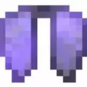 x1 Elytra