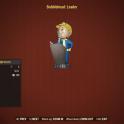 Bobblehead: Leader x5000 (+5% XP for 1 hour)