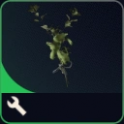 ⭐Great Mullein - instant delivery⭐