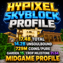 ⚡SKYBLOCK PROFILE ⚡ 14 BILLION UNSOULBOUND ⚡17.5 BILLION TOTAL ⚡729M PURE COINS