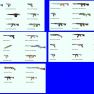 AsiA/SEA/OCE/AP/ 43 Skins / Full Access / iNSTANT DELiVERY - image