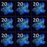 Orb of Alteration - Settlers Softcore - image