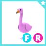 Flamingo FR - Adopt Me - image