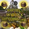 ⭐HYPIXEL SKYBLOCK⭐ COINS⭐3b in stock, cover free - image