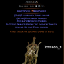 ★ Lycosidae Rampart Tower Shield (non corrupt /random roll) ★ POE 2 ★  Dawn of the Hunt Softcore ★ - image