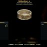 Legendary Wedding Ring (AP refresh/Sneak) - image