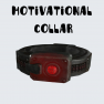 ⭐[PC] Motivational Collar [DEV ROOM] [FAST DELIVERY]⭐ - image