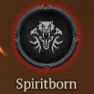 Build Spiritborn Build Service | Build maker | Builder Spiritborn Builder T1 - T4 Chose your Build - image
