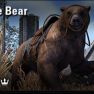 [PC-Europe] cave bear (1800 crowns) // Fast delivery! - image