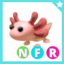 Axolotl NFR - Adopt Me - image