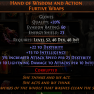 2 SOCKET HAND OF WISDOM AND ACTION GLOVES BEST IN SLOT DAMAGE GLOVES IN THE GAME ALL CLASSES - image