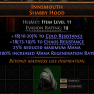 Level 11 Helmet COLD/CHAOS  RESISTANCE+REDUCED MAX MANA+INCREASED MANA REGENERATION RATE （ZY） - image