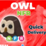 Adopt Me - NFR OWL - image