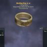 Wedding Ring (+5% accuracy, Weapon Weight reduction, +1 Strenght) - image