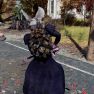 [XBOX] Ogua shell backpack Plan - image