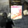 Guns and Bullets 3 [Ballistic gun critical damage +100%][AiD] - image