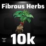 Fibrous Herbs 10k  [ Delivery to PSN/XBOX/PC ] - image