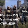 [PC-Europe] 78% XP Boost - Full Epic Training Gear - Stamina DD - image