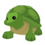 [Adopt Me] Turtle Teen - image