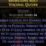 VISCERAL QUIVER FOR GAS ARROW AMAZON HIGH COLD LIGHTNING  PHYSICAL DAMAGE CRIT HIT CHANCE CRIT DMG - image