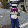 Mr. Fuzzy Mascot Head + Mr. Fuzzy Mascot Suit [Outfit Set] Mr Fuzzy Clean - image