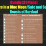 Bundle [31 Plans Once in a Blue Moon/Safe and Sound/Beasts of Burden] - image
