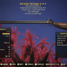 [XBOX] Anti-armor Explosive The Dragon (+15 Bonus VATS Critical Charge) - image