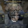 [PVP] Assassin's Sentinel HELLCAT SET (FULL MODS, 5/5 FULL AP REFRESH) - image