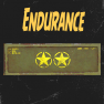 ⭐Endurance [2 Star Legendary Mod Box]⭐ - image