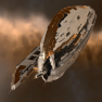 ⭐️ANY Supercarrier Nyx Aeon Wyvern Hel⭐️ - image