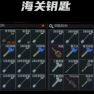 Customs keys Set  +  Free Documents Case(Flea Market Trade) - image